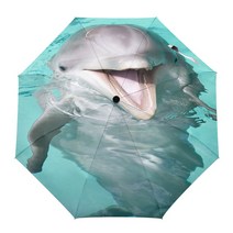 특대형 낚시파라솔 52인치 꺽임파라솔 대형파라솔 해양 생물 수중 물고기 포효 크리 에이 티브 우산 비 여, 11 LEX03454