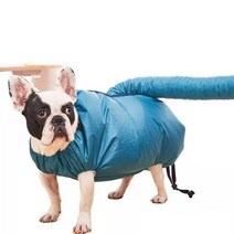 펫드라이룸 강아지 고양이 드라이기 반려동물 반려견 털말리는 기계 애완견 건조기 파우더, XL 6-12kg