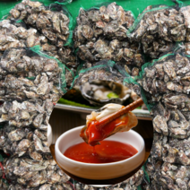 먹사부 통영 석화 굴 하프셀 석화 회 횟감 생굴 가리비 모듬 캠핑 찜 조개구이 세트 국내산 직거래 4kg 5키로 8kg 10kg, A. [단품] 석화 4KG