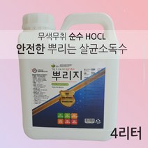 순수HOCL 안전한 무색무취 다목적 살균 소독수, 1개, 4L