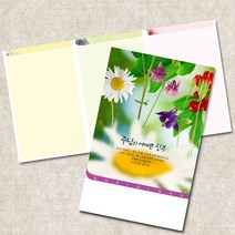 주보용지 3단 주보 교회 예배 주보인쇄 기성 디자인 칼라 청년부 주보 제작 기독교용품, EW-08