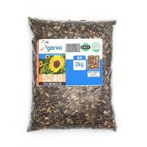 가르보 대형 앵무새용 해바라기씨 2kg