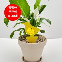 뿌리파리 끈끈이 퇴치 트랩 노란 화초 화분 초파리 날파리 끈끈이화분트랩 대용량 총30매, 2.나비나무(랜덤발송), 10개