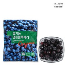 딜라잇가든 냉동 유기농 블루베리 500g x 2, 2개