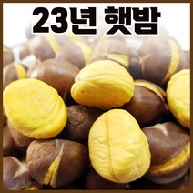 23년 명품 국산 공주밤 및 23년산 명품약단밤 생율 1kg+1kg 칼집밤 혼합, 23년산 햇생율밤 1kg + 1kg