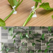 골든트리 부착식 넝쿨 줄기고정 클립 10개입 1세트 식물 화분 벽고정 나무줄기 화초, 랜덤색상 10개입 1세트