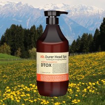 바이오디톡 무실리콘 식물성 계면활성제 약산성 저자극 비듬샴푸, 1개, 500ml