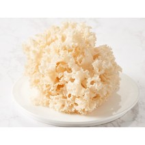 최고급생꽃송이버섯, 고급보자기, 1kg