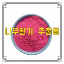 소율국제 나무딸기 수리 복분자 추출물 분말, 10:1, 500g, 1개