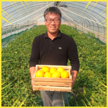 꼬마 성주참외농장 상주참외 마이달데이 16브릭스 못난이, 상품, 10kg, 소과