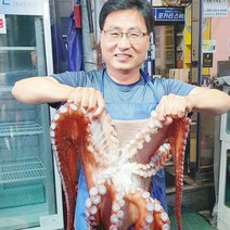 백두대간농수산 경북 영주 자숙 통 문어 1 2 3 kg 동해 참문어 선물용 제수용 안주짝다리, 1kg(안주용)