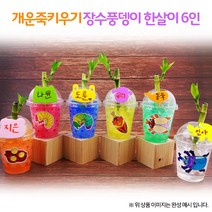 개운죽키우기 장수풍뎅이한살이(6인용)1008720, 단품