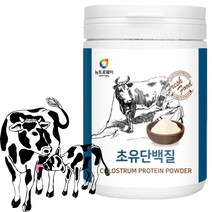 초유 농축유청 식물성 저분자 발효 단백질 유산균 운동 전 후 체중증량 식사대용 단백질 쉐이크 프로틴 근육 보충제 230g, 2개