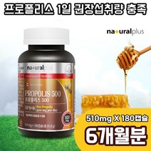 내츄럴플러스 캐나다산 프로폴리스 6개월분 캐나다 propolis 플라보노이드17mg flavonoid, 1박스