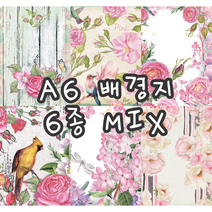 no14 A6버드레터 6종MIX 빈티지 저널 배경지 랩핑지 감성 촬영 소품 페이퍼 인스타 인테리어 종이 [까만너구리]