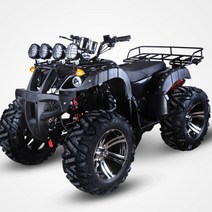 4륜 오토바이 대동메크론 가솔린 4발 오프로드 레저용 사륜 미니 엔진, 200cc