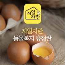 [자알자란] 동물복지 유정란 20구 사육환경 2번 산란당일발송 특란 안전포장