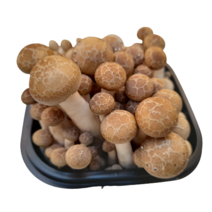야채왕 만가닥 버섯 1팩(150g), 1개