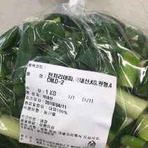 전처리 대파 1KG 원통썰기 4CM내외, 단품, 단품