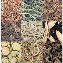 나물모음전 토란대나물 고구마줄거리 묵나물 대보름나물 미역취 피마자 곰취나물 유채나물 방풍나물 깻잎 아주까리 건곤드레 새취나물 가지나물 호박꼬지 부지갱이 부지깽이 호박꼬지 국내산나물, 부지깽이200g