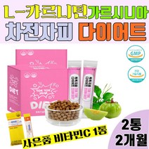 L-카르니틴 엘 카르니틴 다이어트보조제 엘카르티닌 체지방감소 가르시니아 차전자피, 2통