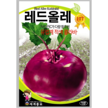 레드올레 콜라비 300립/적색콜라비 씨앗 종자, 1개