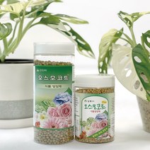 오스모코트 250g 식물 영양제, 1개