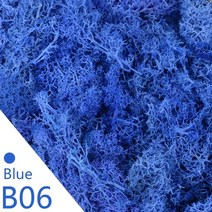 20g 40g 품질 인공 이끼 불멸의 이끼 시뮬레이션 녹색 식물 잔디 홈 장식 벽 diy 마이크로 조경 액세서리, b06