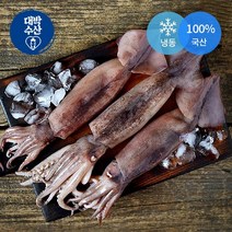 선동오징어 손질오징어 오징어 냉동오징어, 손질 통오징어 800-900g, 1개