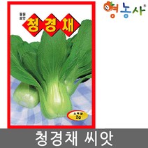 청경채씨앗 2g, 1개