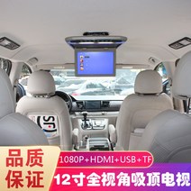 SUV 쏘렌토 카니발 펠리세이드 싼타페 고화질 12인치 슬림형 TV 차량용 천장 모니터 MP5, D타입 AV베이지 24V1대