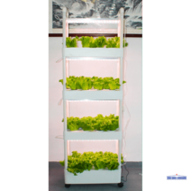 수경재배화분 이동식 스마트 신선한 채소 상추키우기 야채 세트 식물 홈가드닝, H