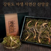 국내산 100% 자연산 산양삼 산삼 야생 산양산삼 야생삼 5년근 6년근 뿌리 정품 강원도 횡성 부모님 추석 설 명절 선물세트 인삼, 1세트, 6뿌리