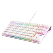 삼성전자 LED 기계식 유선키보드, 화이트, SPA-NKG2CUWN, 텐키리스