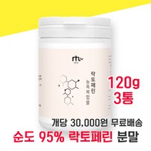락토페린 락토패린 락토린 라토페린 고순도 농축복합물 우유 초유 초우 단백질 담백질 분말 가루 파우더 유산균 사균체 칼슘 칼숨 홈쇼핑 분리유단백 모로오렌지 레몬밤 자몽 와일드망고, 120g 3통 - 다니마켓