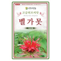 벨가못 허브씨앗1000립 버가못 오스췌고티 미국박하 방향제 목용제 허브티, 1개