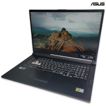 ASUS 아수스 ROG 로그 STRIX i7 GTX 1660Ti 16GB 게이밍 노트북