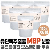 유단백질 MBP 앰비피 분말 분리유단백 비타민 미네랄 섭취 마시는 단백질음료 단백분말 유산균 보스웰리아 남편 온가족 와이프 할아버지 홈쇼핑 아미노산스코어 실버 70대 노년 보충제