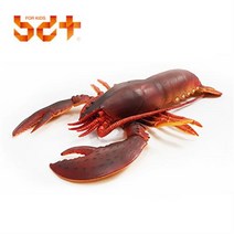 GCH567265반디 가재