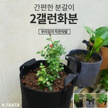 부직포 화분 식물 감자 키우기 2갤런 20x20 블루베리 고구마 감자 모종 키우기 베란다 텃밭 흙 담기 화분, 1화분2갤런-블랙