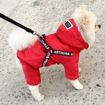 까마느 강아지 겨울옷 바람막이 패딩 레드 레인보우 코트 포메 소형견 중형견