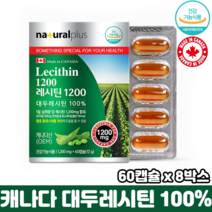 캐나다 레시틴 식물성 인지질 식약처인증 순수 대두레시틴 100% 혈중 콜레스테롤 개선, 8박스, 60캡슐