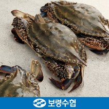 오초록 보령수협 국내산 급랭 봄 암꽃게대 900g3미 210273