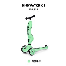 전동 전기 클래식 가성비 유아 소형 스쿠트라이드 수입 이 킥보드 탈 수 있는 16세 카 투인원 미끄럼틀 트위스터, 07 Highwaykick 1 키위