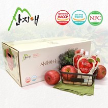 [산지애]사과원액주스 100팩, 단품