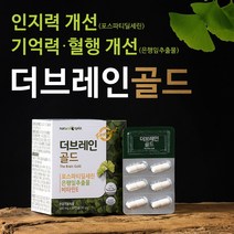 두 뇌 기억력 인지력 개선 포스파티딜세린 은행잎추출물 인지질 징코 PS 수험생 항산화 혈액순환 영양제