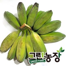 그린 사바 바나나(green saba banana) 그린농장, 1.5kg, 1개