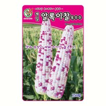제일 알록이찰옥수수 씨앗 150립