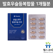 발효우슬등복합물 우술 복합정 우슬20E 참당귀추출물 관절에좋은영양제 쇠무릎 쇠무릅