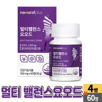 요오드 멀티 밸런스 산화아연 비타민D3 요오드칼륨 비타민B12 비타민B6 비타민B1 비타민B2, 04개 (8개월), 60정